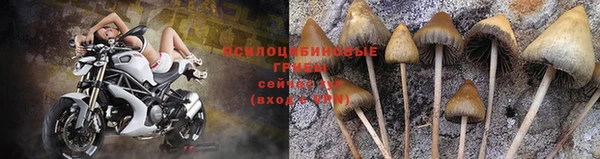 кокаин VHQ Нефтекумск