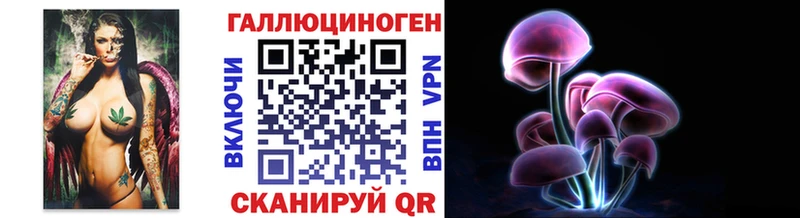 где купить   Ковылкино  darknet Telegram  Псилоцибиновые грибы Psilocybe 