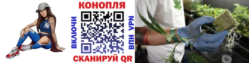 Каннабис план  ОМГ ОМГ ссылки  Ковылкино 